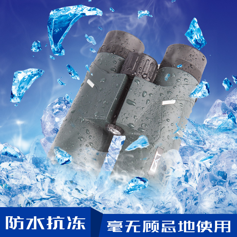 博冠BOSMA银虎2代 8x42/10x42双筒望远镜高清高倍成人微光夜视微光便携 8x42
