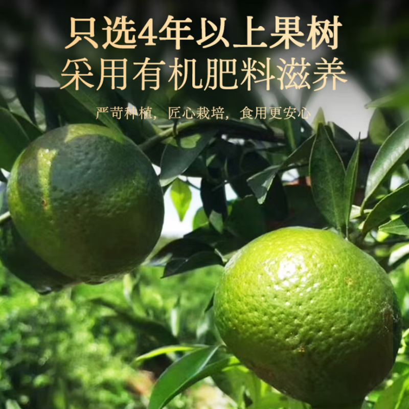 杞里香杞里香10年新会陈皮100g(规格:罐)高清大图