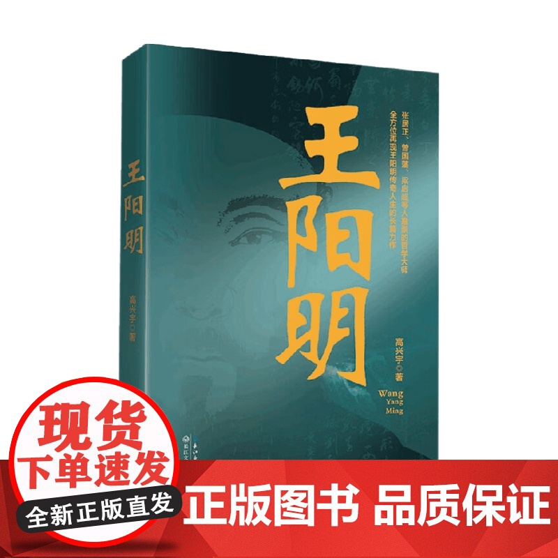 王阳明 高兴宇 著 小说高清大图