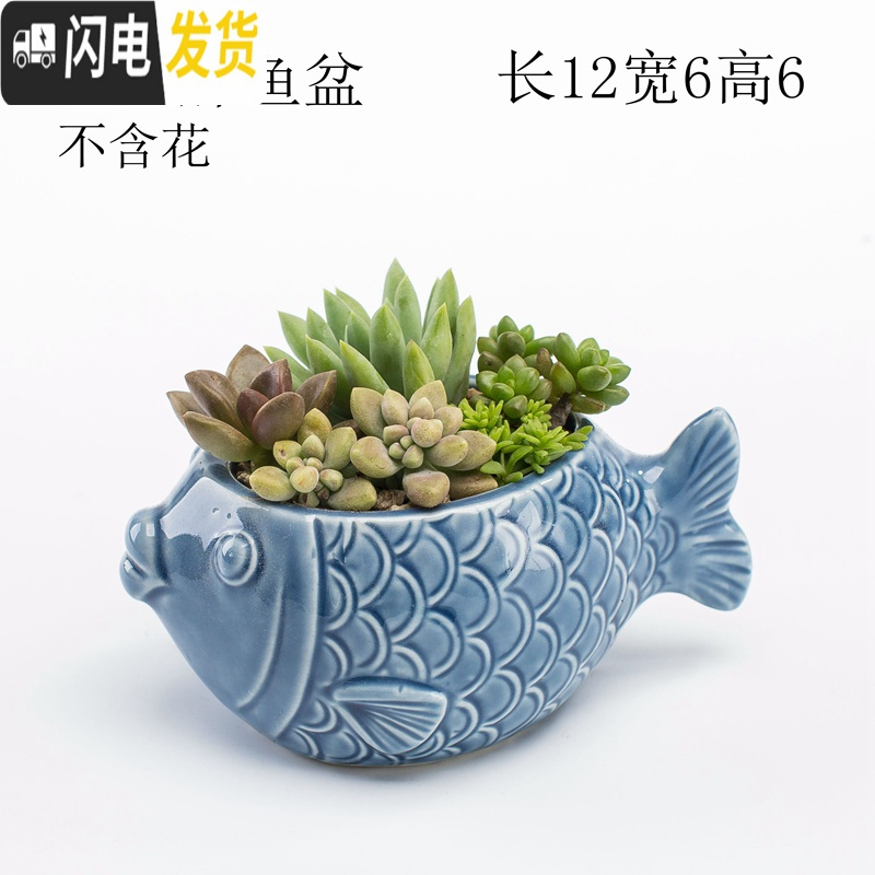 三维工匠多肉花盆器创意个性中大号口径肉肉植物小号拇指花盆陶瓷 蓝色贝壳盆 中等花盆容器高清大图