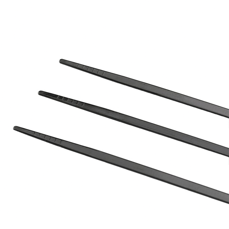 百晟长恒BSCH-ZD002 3mm*250mm尼龙扎带250条/包(计价单位:包) 黑色高清大图