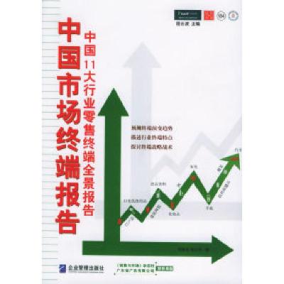 11中国市场终端报告9787801973184LL