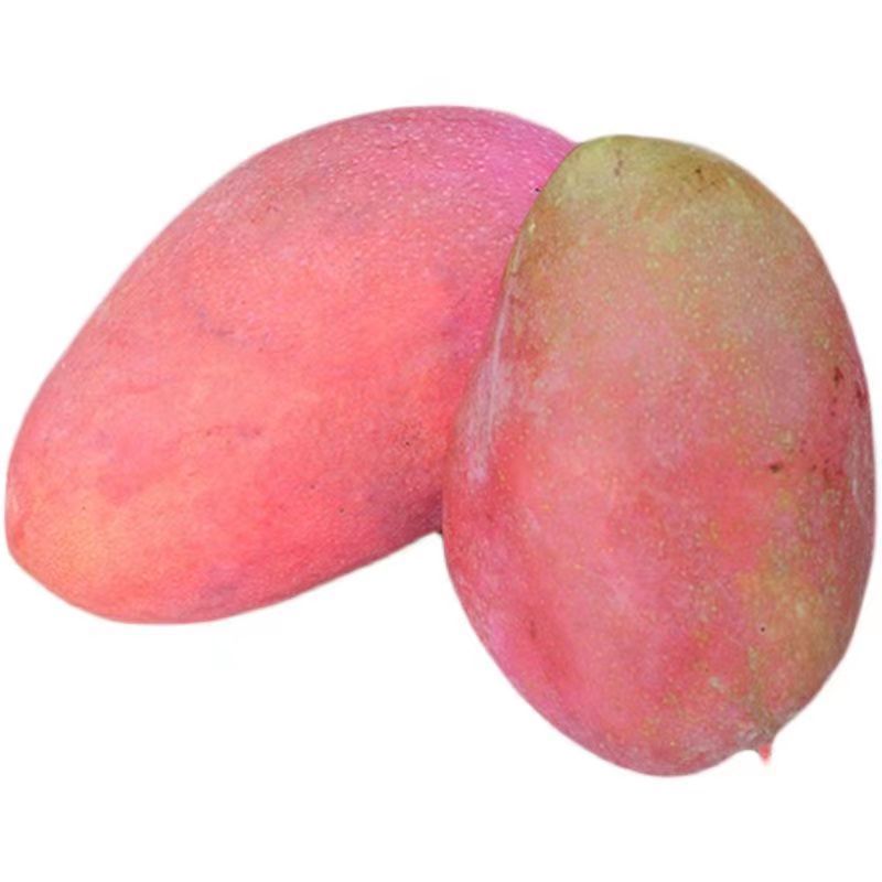 礼盒装[苏鲜生]海南新鲜红玉芒 带箱5斤 3-5个 热带水果 香甜可口