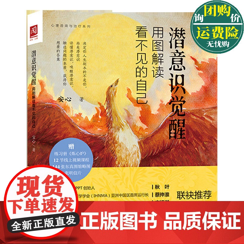 潜意识觉醒:用图解读看不见的自己 心理咨询与治疗系列 安心 中国人民大学出版社