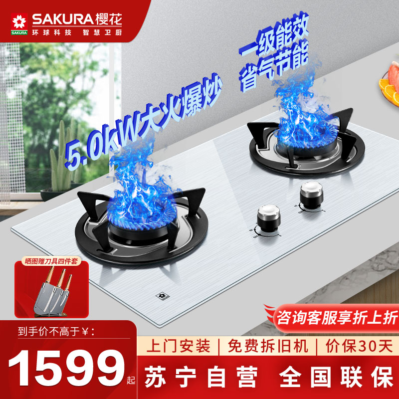 樱花(SAKURA)燃气灶一级能效节能5.0KW大尺寸灶台嵌两用双灶防爆钢化灶具JZT-YBG01天然气高清大图