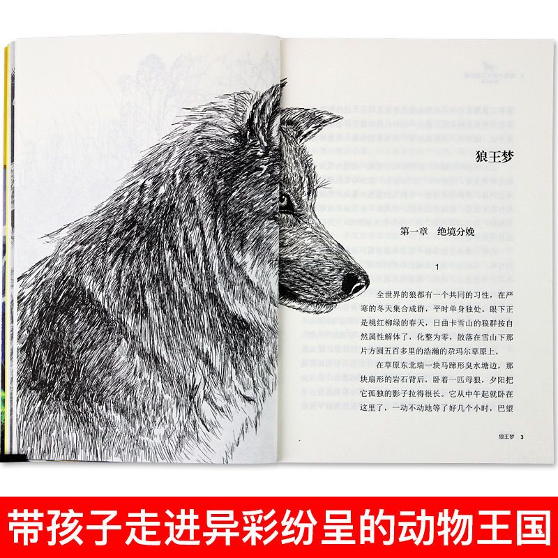 14--疯羊血顶儿 全40册 沈石溪品藏书系动物小说全集 狼王梦沈石溪的书全套系列