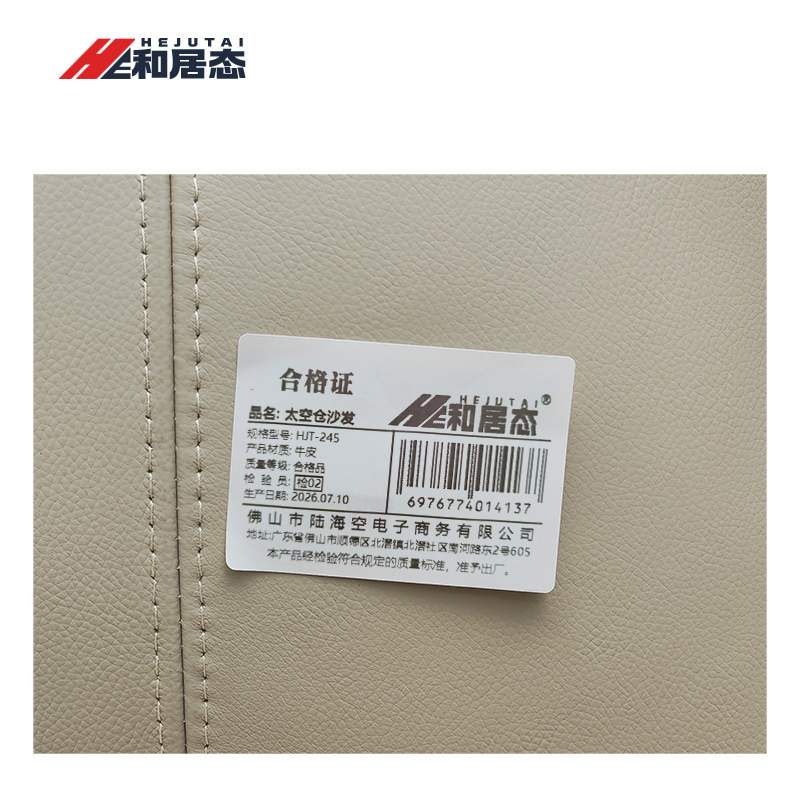 和居态 太空仓沙发 HJT-245 张高清大图