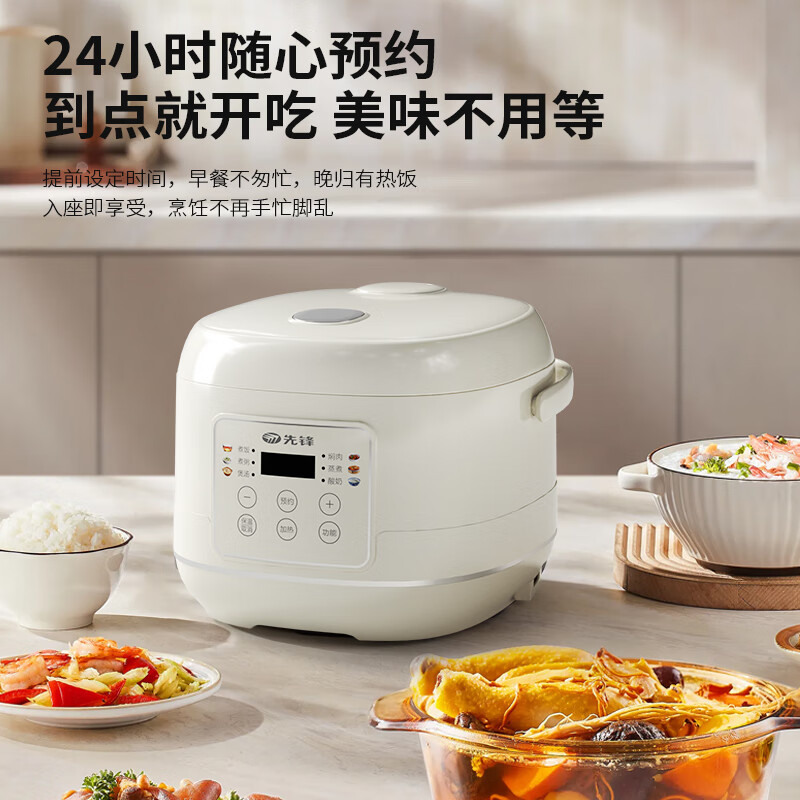 先锋(SINGFUN) FD204-2405B 智能电饭煲高清大图