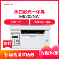 奔图 (PANTUM)M6202NW 黑白激光一体机 WiFi连接 手机直连打印 学生作业打印(打印 复印 扫描)官方标配