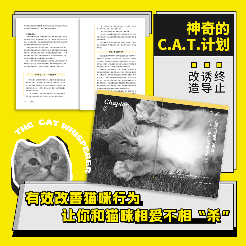 [正版] 家有恶猫书 猫咪乖不乖主人说了算 米歇尔内格尔施奈德著 “咪姐”20年兽医专业经验 解决猫咪的异常行为问题
