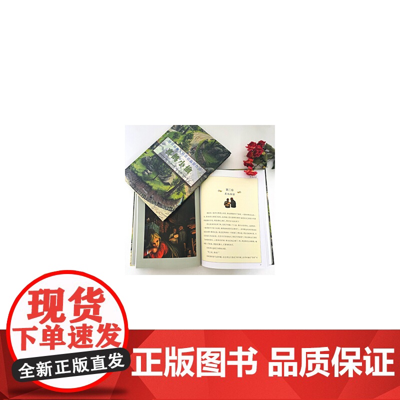 漂流瓶绘本馆-世界插画大师英诺森提作品-喜鹊小偷高清大图