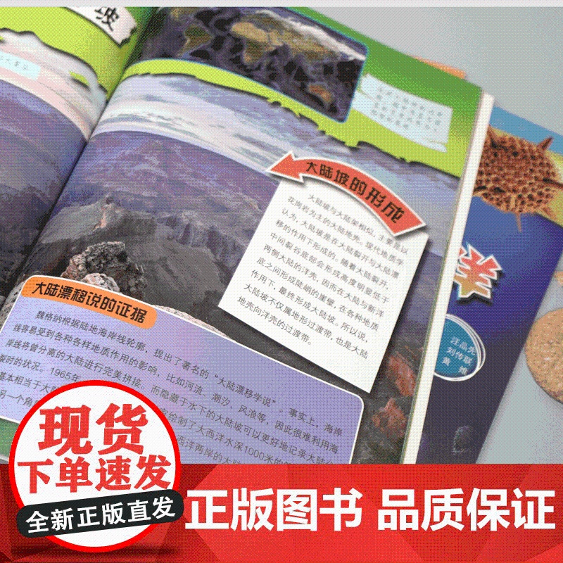 深海探索系列套装(6本) 深海生物 海底是漏的 大洋钻探与海底观测 显微镜下看海洋 儿童科普图书 科普百科 少年儿童出版高清大图