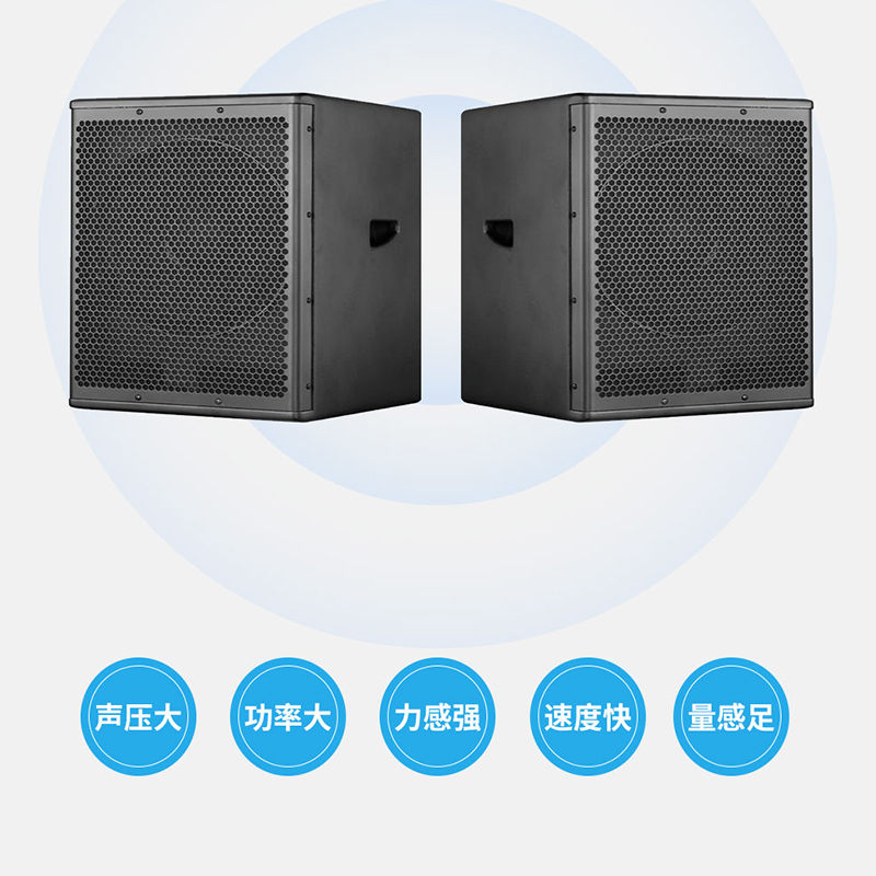 润普(Runpu)国产化会议室展厅教室礼堂报告厅15英寸低音专业会议音响/音箱/喇叭扬声器RP-HYD658
