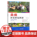 禽病诊治彩色图谱（第三版）家禽 鸡 鸭 鹅 禽类 30032