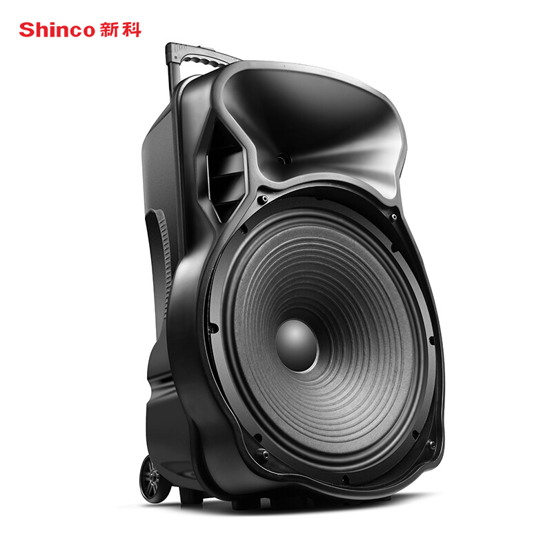 新科(Shinco)H319 18英寸户外拉杆音箱便携式蓝牙音响大功率电脑电视音箱 扩音器 豪华版(两支话筒)