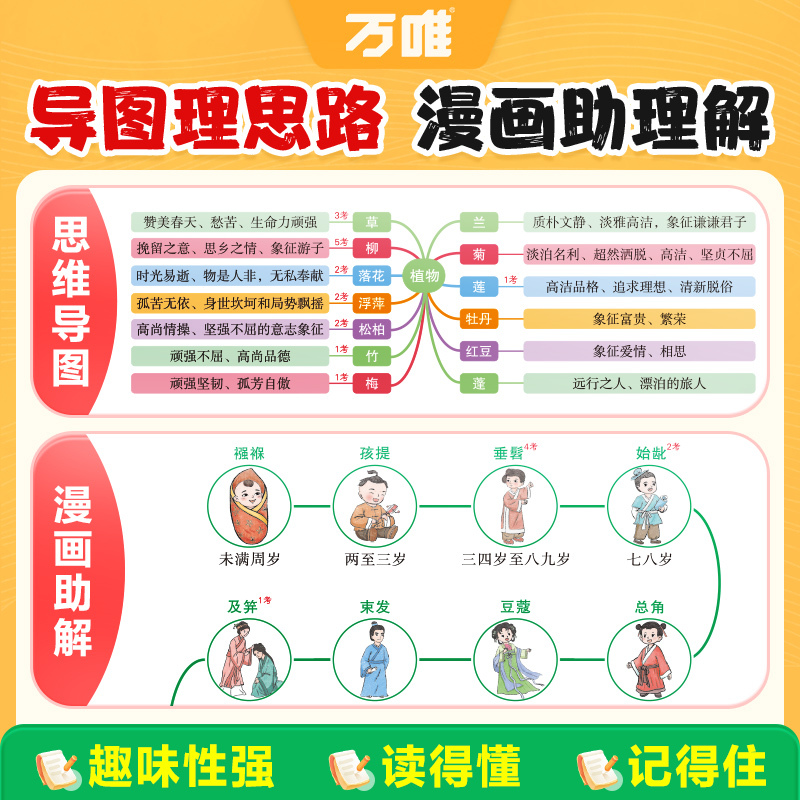 初中必考文学文化常识 初中通用 [正版]2025初中必考文学文化常识图解速记初中生中国古代历史现代文学文化百科常识积累大