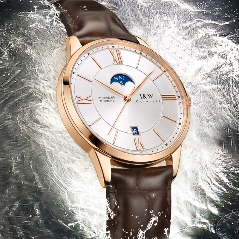 瑞士嘉年华(CARNIVAL)正品手表全自动机械表 男表休闲时尚皮带男士腕表进口机芯防水品牌复古腕表528G高清大图