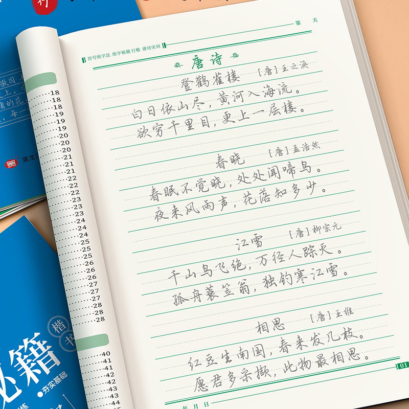 楷书速成全套6本[送黑色正姿钢笔一支+黑色墨囊12支] [正版]楷书练字帖小学生行楷基础入门速成钢笔硬笔字帖书法练字本初高清大图