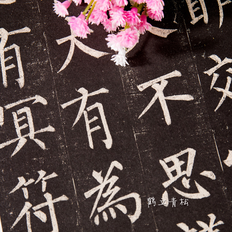 唐柳公权玄秘塔碑 柳体历代碑帖精粹 简体旁注 楷书碑帖毛笔字帖柳公权玄秘塔 书法古帖成人楷书初学者入门临摹高清大图