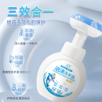 洗得宝 XDB-XSY3196 300ml/瓶 抗菌洗手液滋润保湿泡沫细腻 洗手液