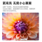 当 贝 M2S Pro 投影仪家用1080p 高清办公手机电脑投屏投影机 卧室投影机智能家庭影院