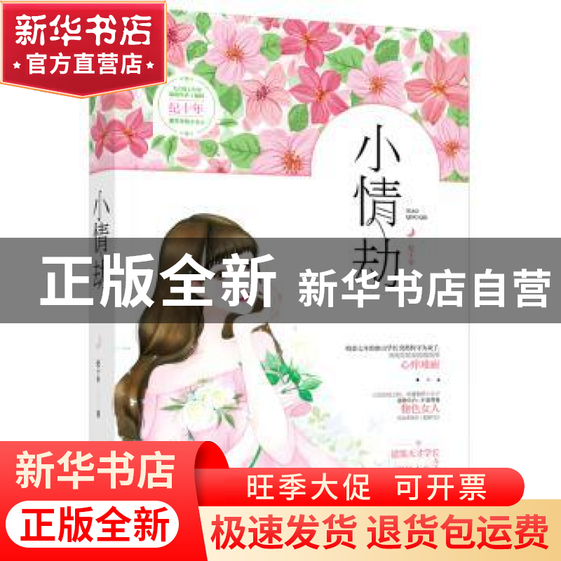 正版 小情劫 纪十年著 江苏凤凰文艺出版社 9787559411242 书籍
