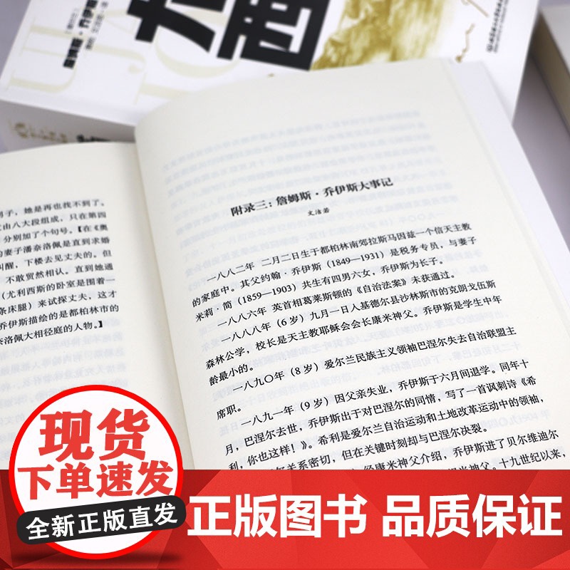 尤利西斯 上下册 詹姆斯乔伊斯原著无删减完整版萧乾文洁若翻译经典译本二十世纪百大英文小说意识流小说的代表作外国世界名著小高清大图