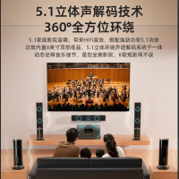 先科(SAST)A16家庭影院套装5.1家庭影院音响套装家用电视客厅壁挂落地音箱 (落地点歌机套装)