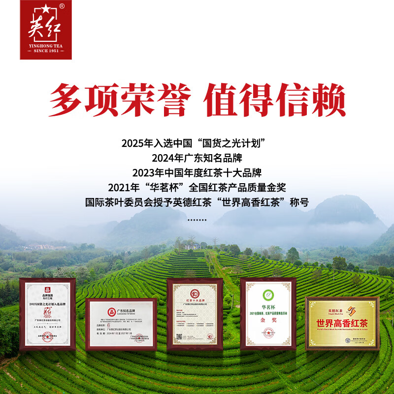 英红牌红茶英红九号浓香型有机茶2025年新茶春茶罐装250g高清大图
