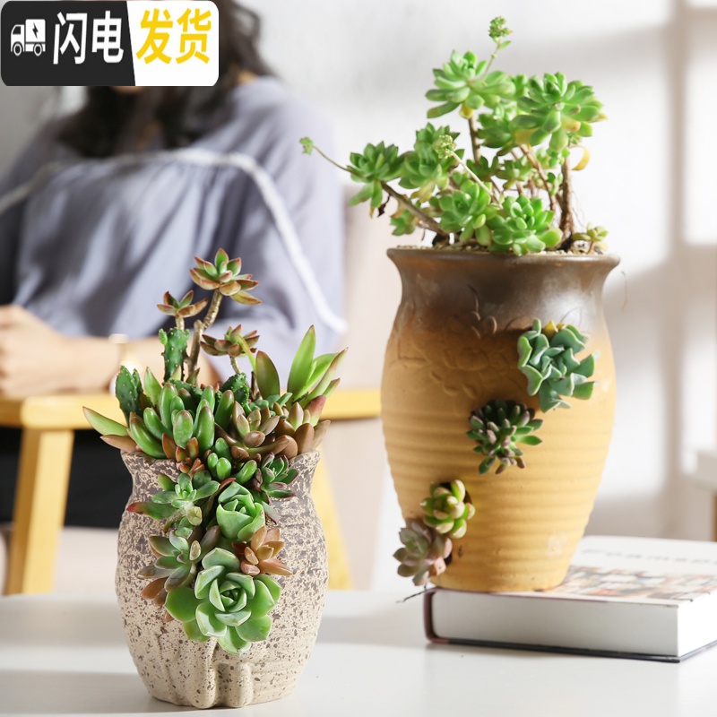 三维工匠创意个性多肉陶瓷花盆多孔多肉老桩拼盘花器多洞陶瓷法师老桩花盆 洞洞盆HZ269 大花盆容器高清大图