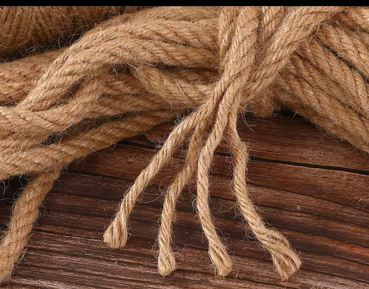 顺鸿森白棕绳 麻绳20mm