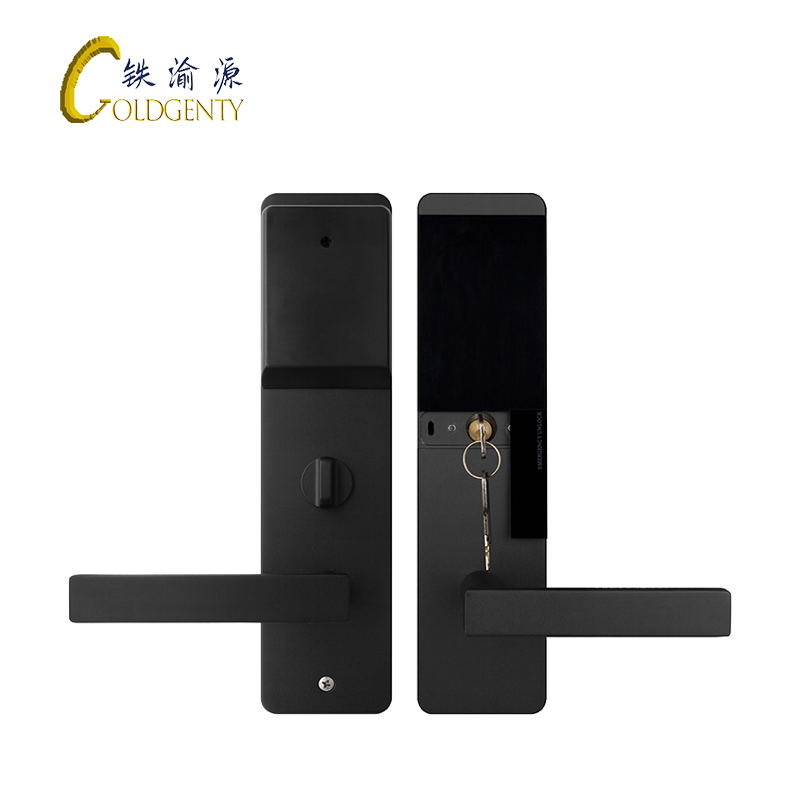 铁渝源 智能刷卡门锁 GT-1019/把高清大图