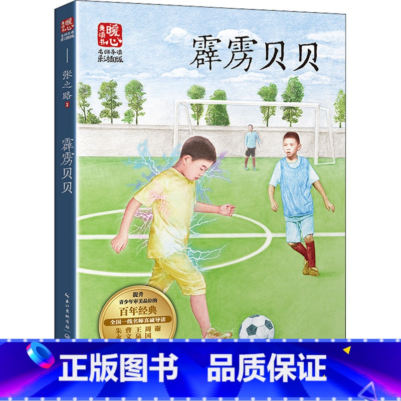 霹雳贝贝 【正版】霹雳贝贝 少年儿童学校阅读书目课外阅读书小学生儿童青少年版文学教育经典名著小说书籍