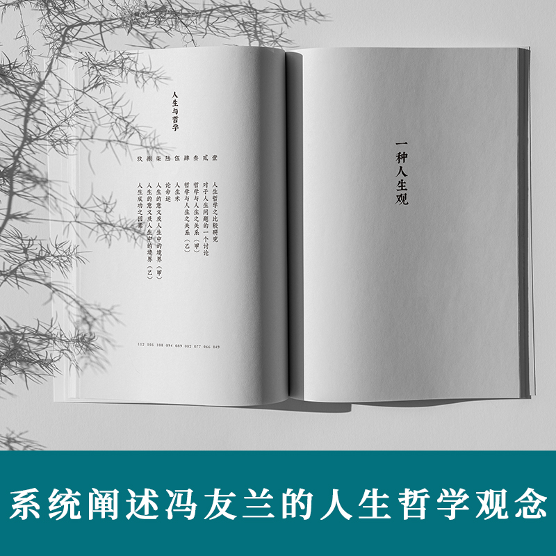 [正版]一种人生观 台海出版社 冯友兰 著 情商与情绪高清大图