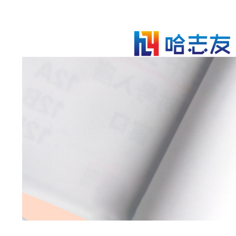 哈志友车厢外 车身LOGO贴 800*800mm高清大图