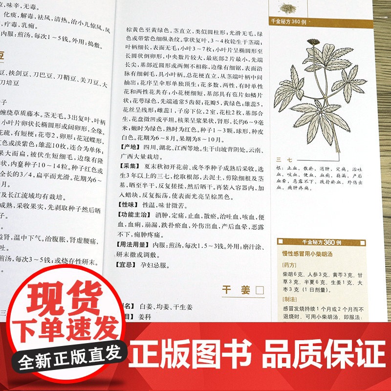 [3册]精编中草药原色图谱+图解中草药大全+图解本草纲目 书籍高清大图