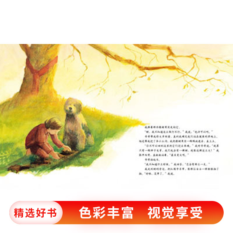 艾莉丝的树 精装 [正版]艾莉丝的树硬壳精装图画书启发绘本环保绘本让孩子学会保护环境被看见的生命与希望生命与自然生命与希高清大图