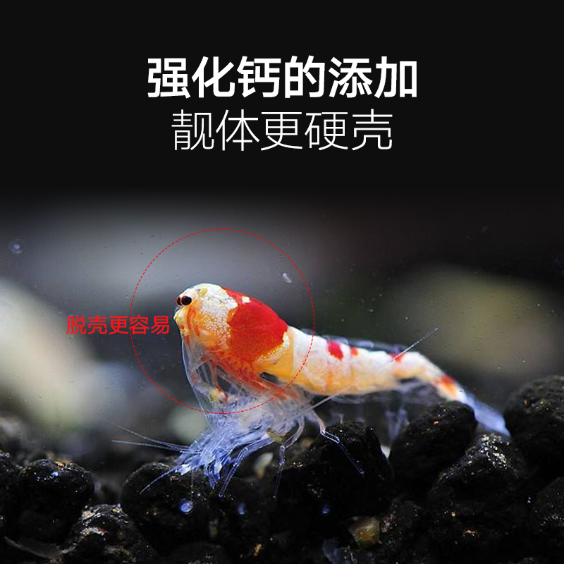 黑壳虾虾粮沉底鳌虾喂食器水晶虾食粮冷水虾观赏虾饲料食料 默认尺寸 600毫升*1瓶