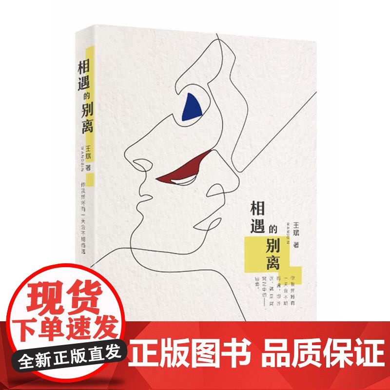 相遇的别离 王斌 文化发展出版社 正版书籍高清大图
