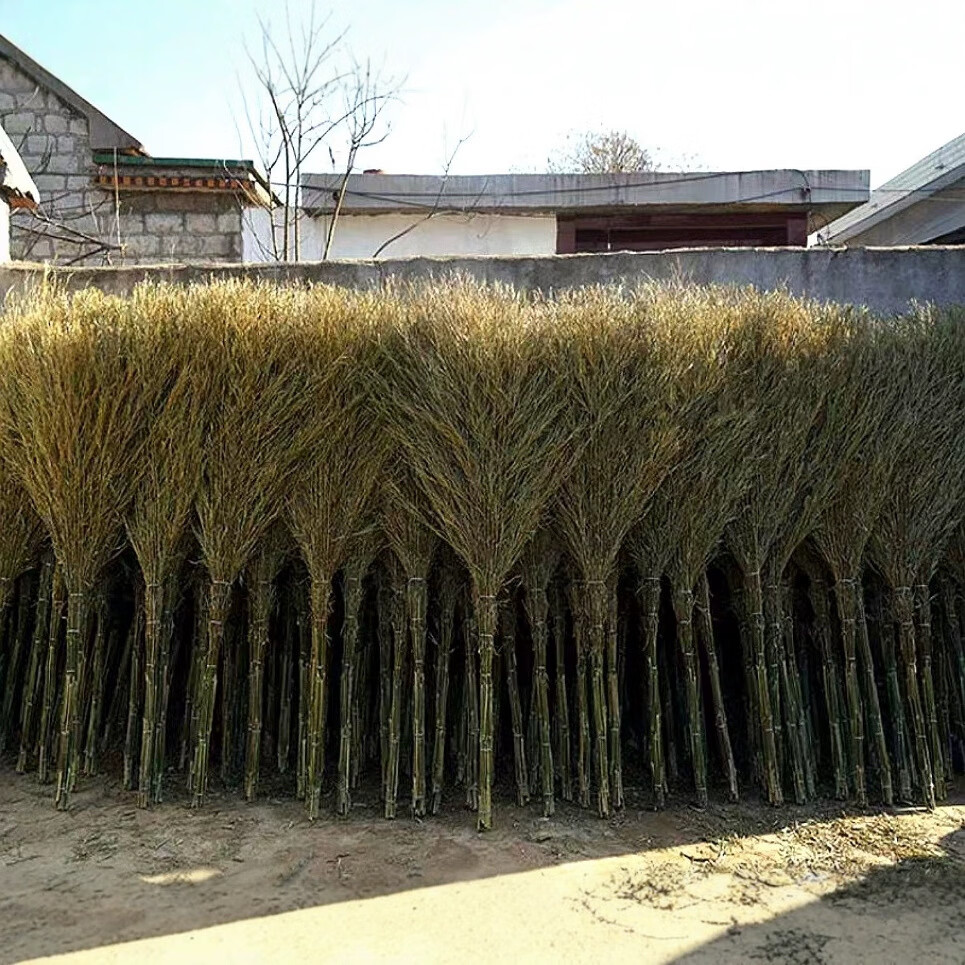 谋福 老式扫帚 户外笤帚小扫把[1.5米黑皮(金枝)带叶]*/个高清大图