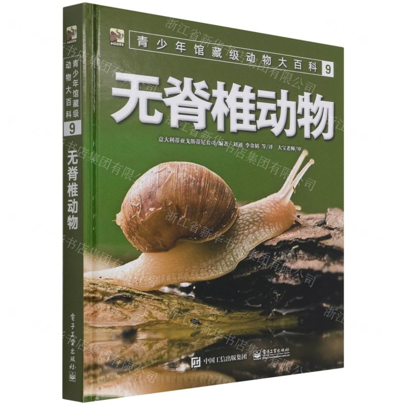 【N】无脊椎动物(精)/青少年馆藏级动物大百科-9787121413414