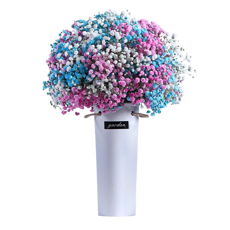 满天星花束干花干鲜花真花摆件客厅装饰插花大束 粉 白 蓝满天星大束 不含瓶 报价 参数 图片 视频 怎么样 问答 苏宁易购