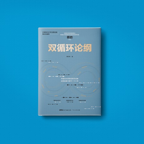 [纸书+有声书]双循环论纲 [正版]出版社双循环论纲 蔡昉中国社科院智库专家解读中国经济未来高质量发展读懂未来消费潜力发高清大图