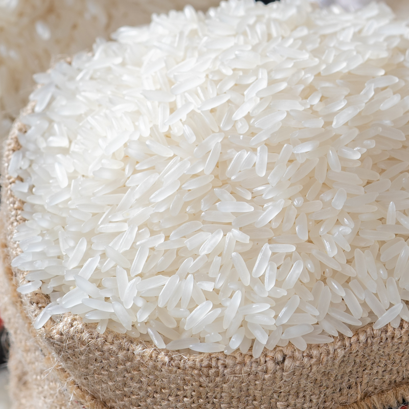象州大米5kg 广西象州香米当季新米10斤 真空包装长粒软香优质丝苗米