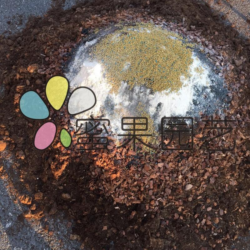 自配高配含肥月季土 铁线莲通用土多肉奥绿泥炭松鳞椰壳营养