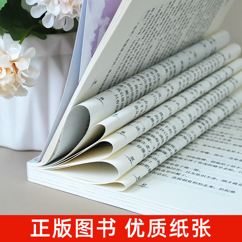 [摩羯座]穿越桃源寻找你 [正版]仲夏夜旋律双鱼座星光闪耀系列关于十二星座书籍治愈系好看的小说校园青春女生适合初中学生七高清大图
