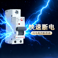 罗格朗 小型断路器 4.5kA C曲线 32A 2P DAF322 个