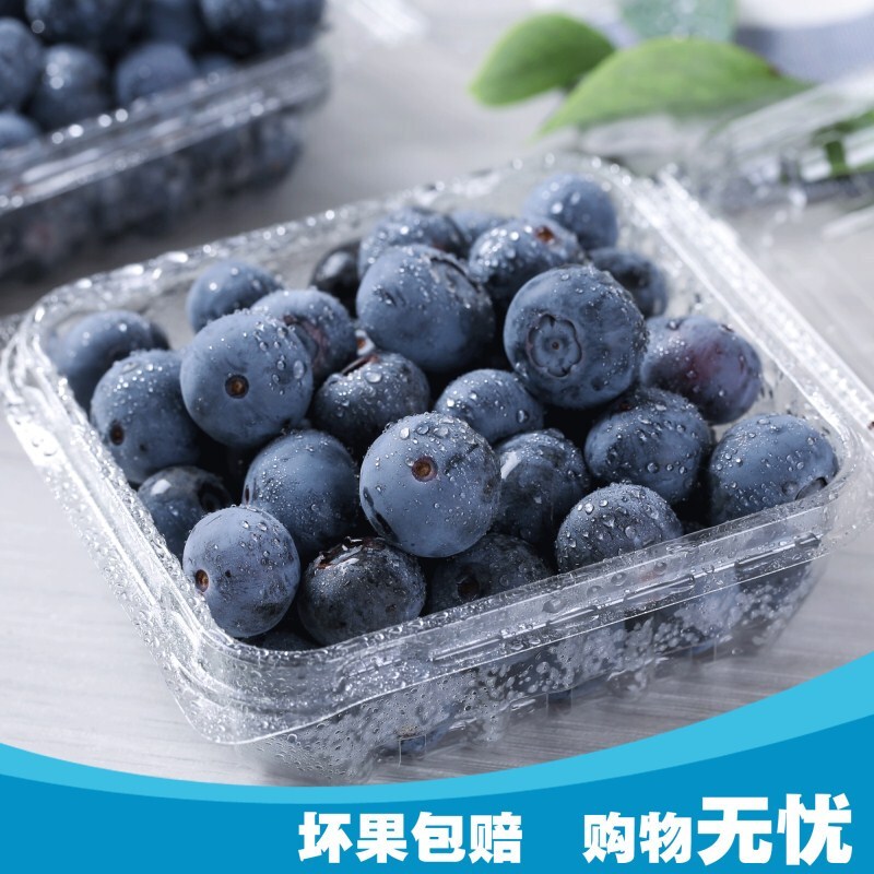 博多客云南新鲜蓝莓4盒125g盒新鲜水果500g4盒生鲜新鲜