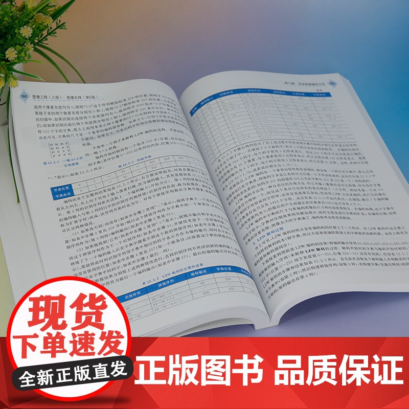正版新书 图像工程 上册 图像处理(第5版) 章毓晋 清华大学出版社 计算机应用 图像处理高清大图