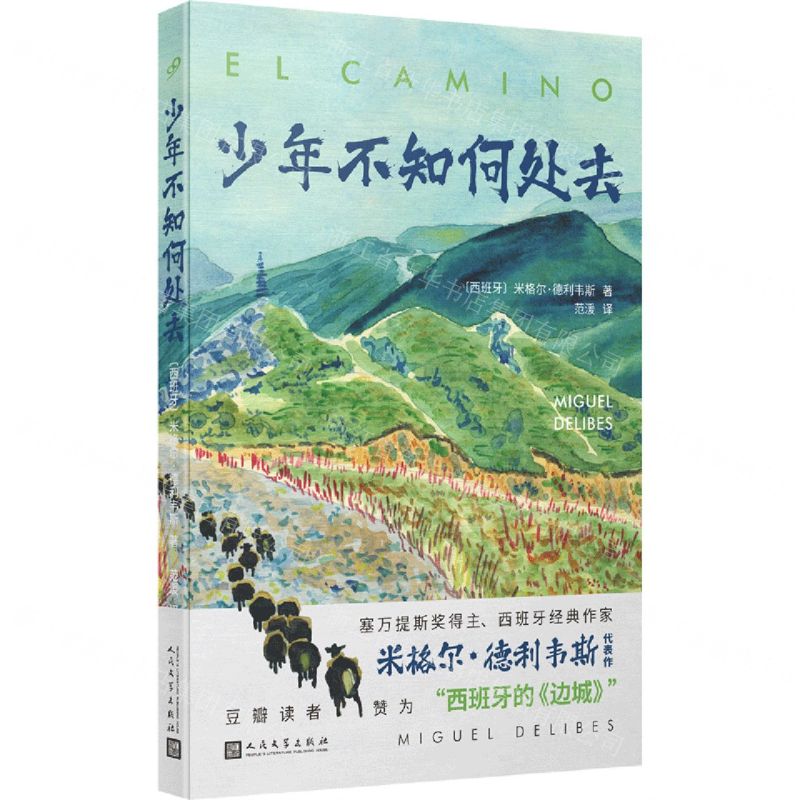 [N]少年不知何处去-9787020185276高清大图